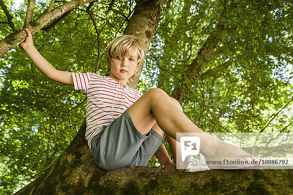Portrait of little boy sitting on a tree in the forest
