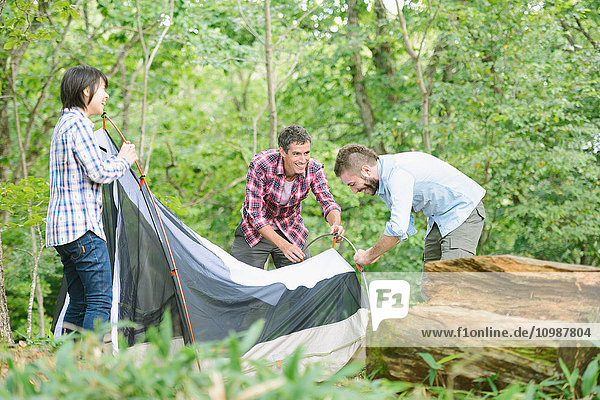 Multiethnische Gruppe von Freunden beim Aufbau eines Zeltes auf einem Campingplatz