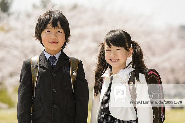 Japanese elementary school students and cherry blossoms