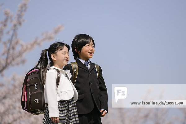 Japanische Grundschüler und Kirschblüten
