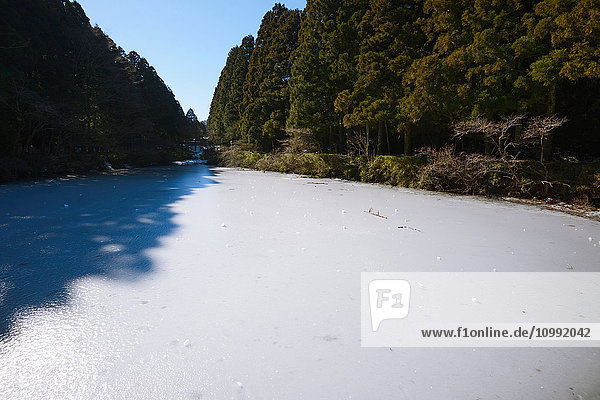 Schnee im Onshihakone Park an einem Wintermorgen  Hakone  Japan