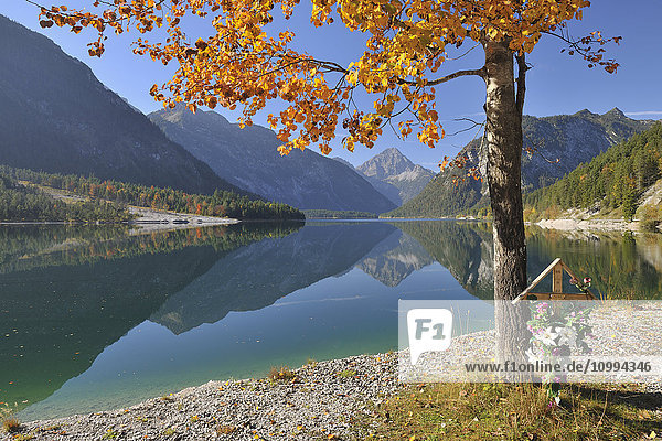 Holzkreuz unter Pappelbaum im Herbst  Plansee  Tirol  Österreich