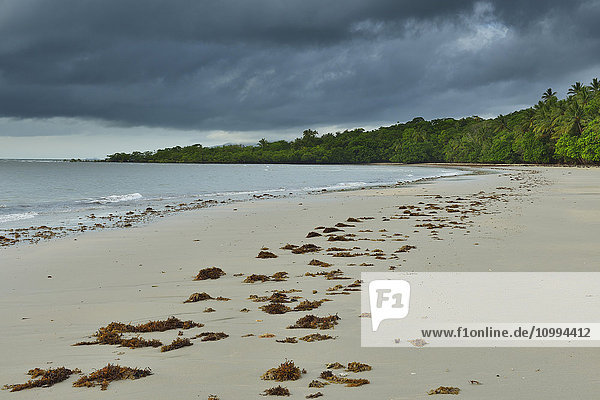 Sandy Beach with Storm Clouds in Morning  Daintree Rainforest  Cape Tribulation  Queensland  Australia