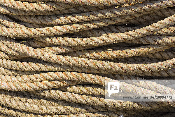 Rope in Harbor  Hirtshals  North Jutland  Denmark