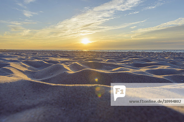 Sandstrand bei Sonnenaufgang  Bunken  Aalbaek-Bucht  Ostsee  Nordjütland  Dänemark