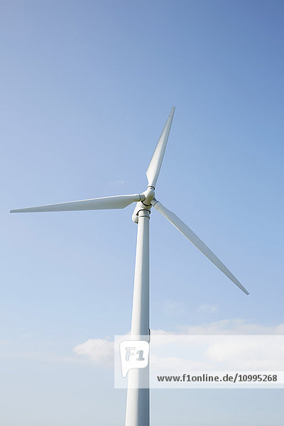 Windturbine mit blauem Himmel  Sonderborg  Syddanmark  Dänemark