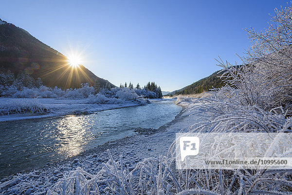 Isar im Winter mit Sonne und Raureif  Isartal  Karwendel  Vorderriss  Oberbayern  Bayern  Deutschland
