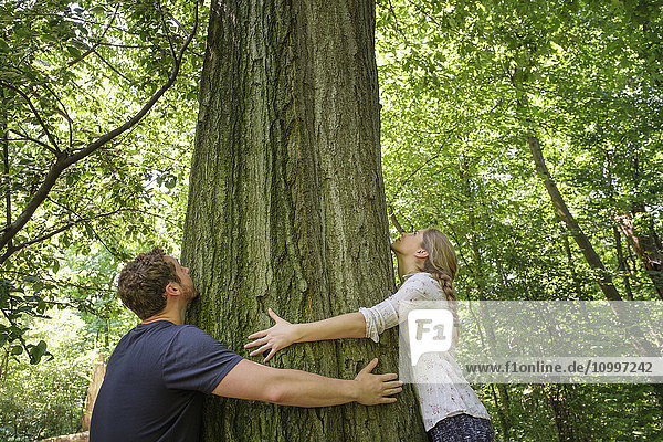 Couple hugging tree