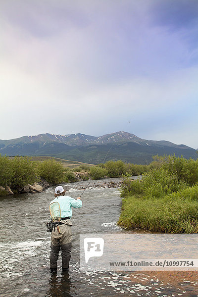 Colorado  Mid adult man fishing in river