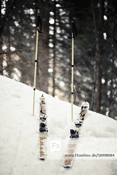 Austria Salzburger Land Maria Alm Skis and ski poles