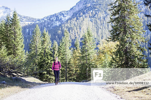 Österreich  Salzburger Land  Weissbach  Ältere Frau wandert an einem sonnigen Tag in einer Berglandschaft