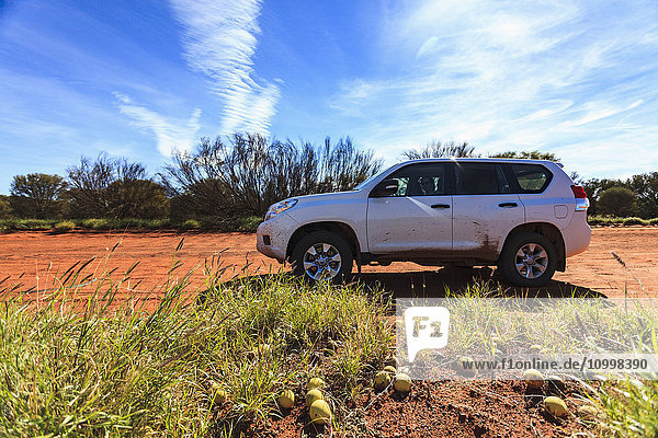 Australia  Outback  Northern Territory  Red Centre  West Macdonnel Ranges  SUV car in desert