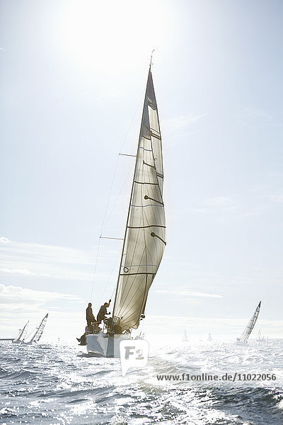 Segelboote auf dem sonnigen Meer