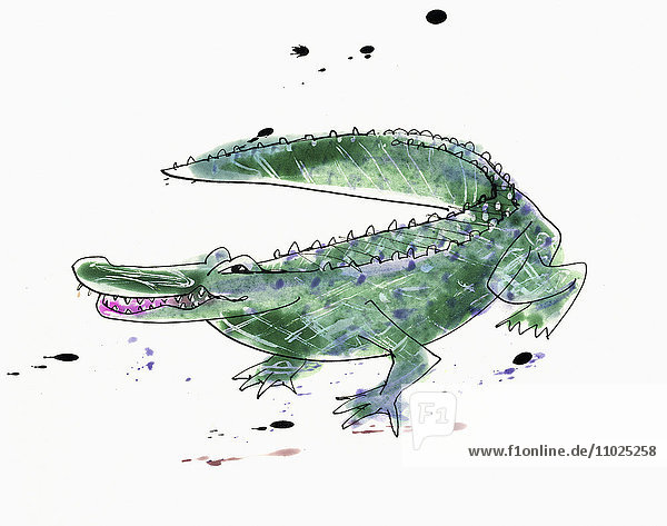 Aquarell eines Krokodils