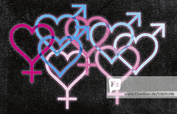 Überlappende blaue und pinkfarbene Geschlechtersymbole in Herzform