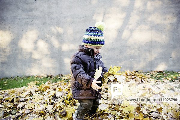 Junge spielt mit Laub