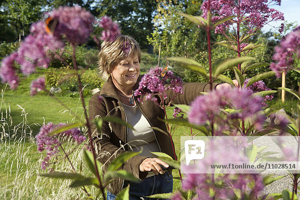 A woman pottering with flowers in a garden.