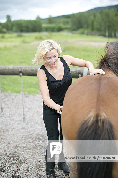 Junge Frau bürstet Pferd