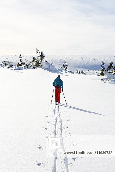 Mann beim Skifahren  Dalarna  Schweden