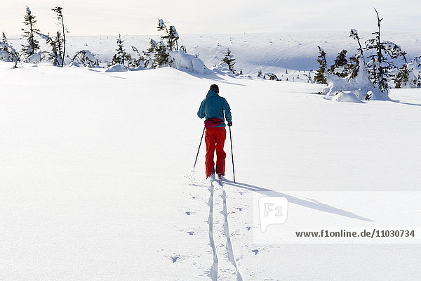 Mann beim Skifahren  Dalarna  Schweden