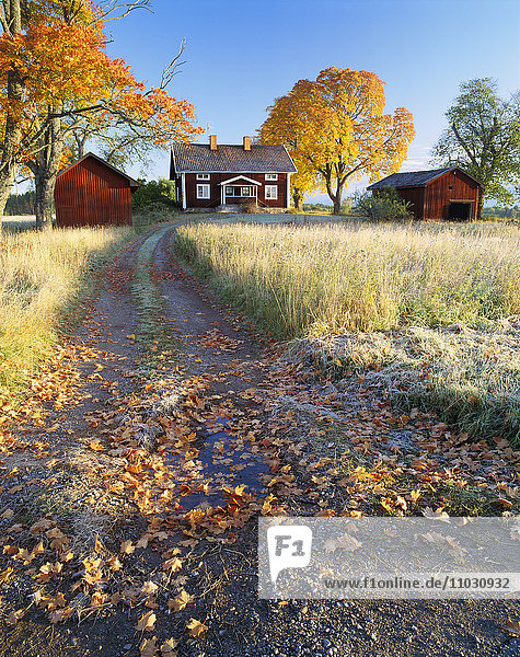 Eine rote Hütte im Herbst  Narke  Schweden.