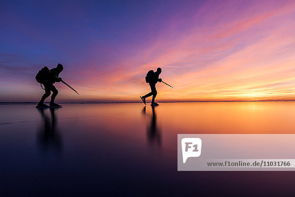 People long-distance skating at sunset  Vanern  Sweden