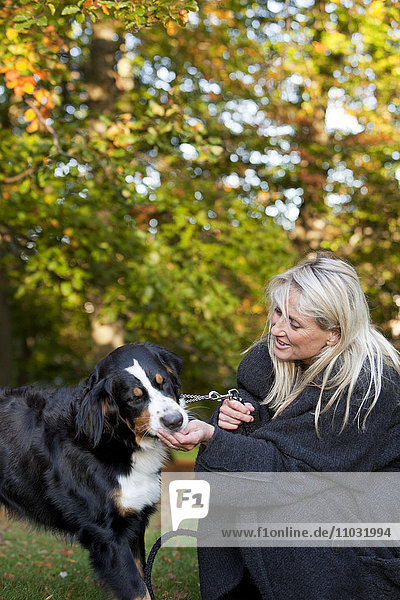 Senior woman with dog in park  Gothenburg  Sweden