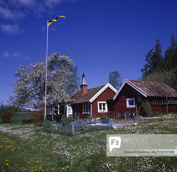 Ein rotes Sommerhaus  Schweden.