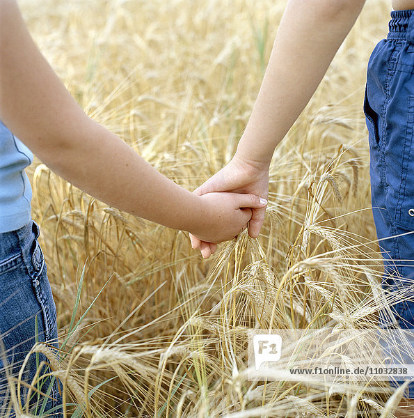 Two children holding hands on a corn field.