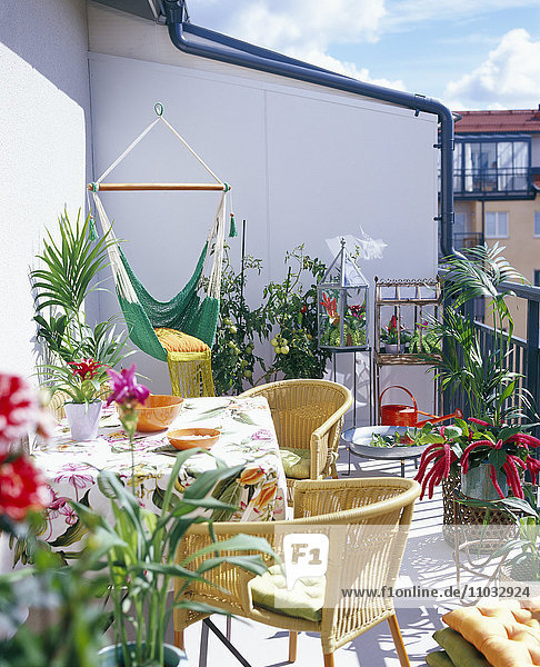 Ein Balkon mit Möbeln und Grünpflanzen.