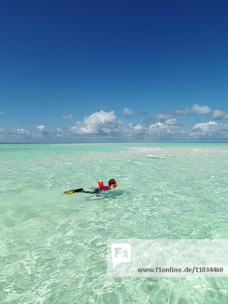 Boy diving in tropical sea