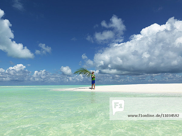 Boy holding palm leaf on sandy beach