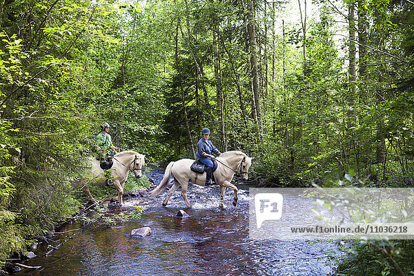 Horseback riding through forest