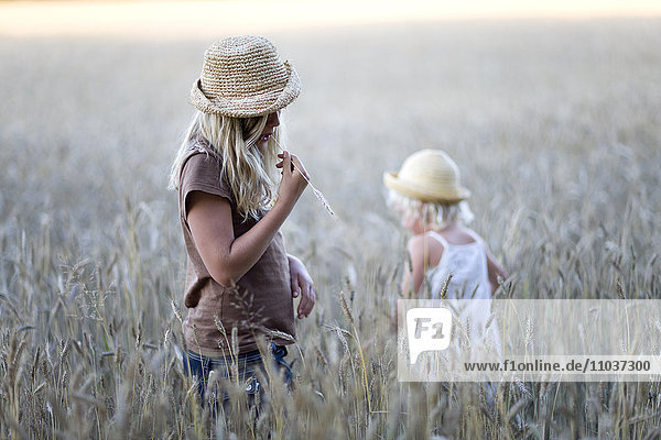 Mädchen in einem Maisfeld  Schweden.
