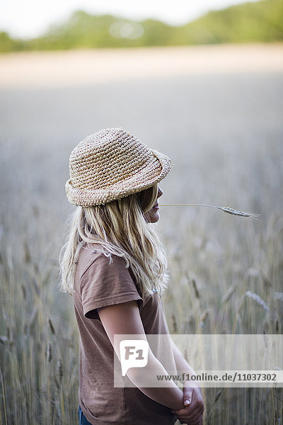 Mädchen in einem Maisfeld  Schweden.