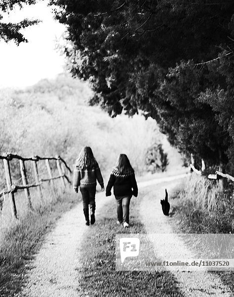 Two girls walking with a cat on a graveled road  Italy.