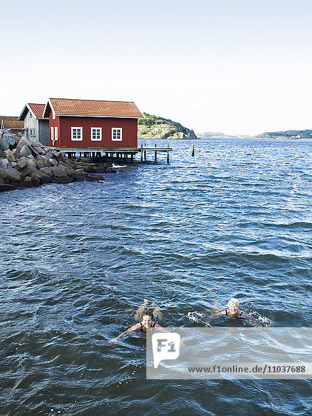 Zwei ältere Frauen schwimmen im Meer  Schweden.