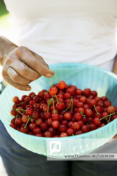 Woman holding a bowl of cherries  Sweden.