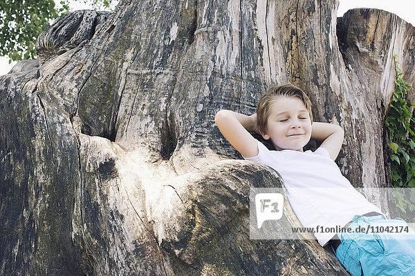 Junge lehnt an großen Baumstamm