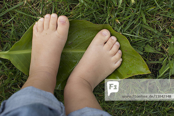 Child's bare feet standing on leaf