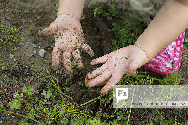 Kinderhände von der Gartenarbeit verschmutzt