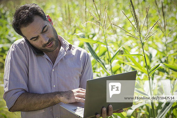 Wissenschaftler mit Laptop-Computer beim Sprechen auf dem Handy im Maisfeld