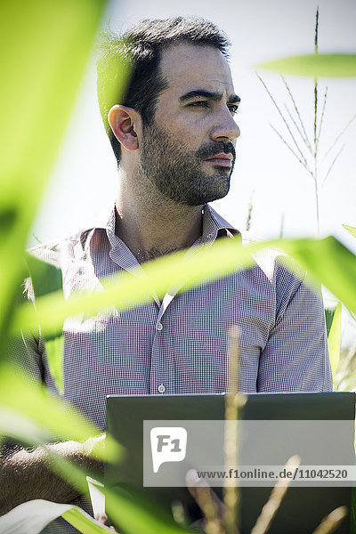 Landwirt mit Laptop bei der Datenerfassung im Maisfeld