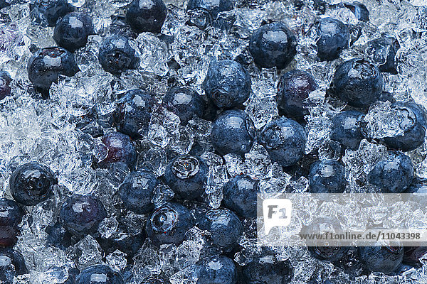 Blueberries on ice