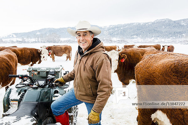 Kaukasischer Bauer mit Rindern auf einem verschneiten Feld