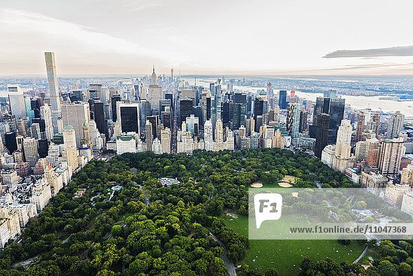 Aerial view of Central Park in New York City cityscape  New York  United States