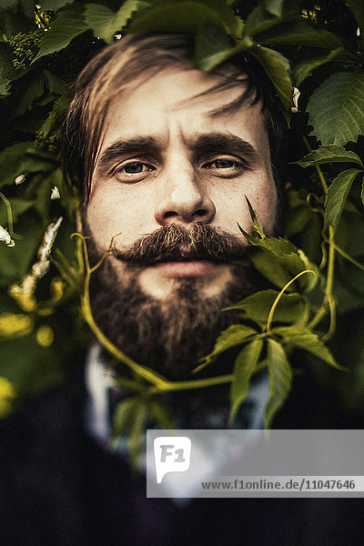 Vine curling around face of man with beard
