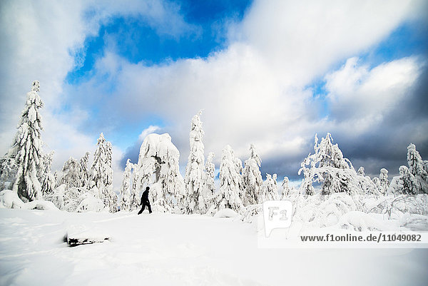 Hiker walking in snowy forest
