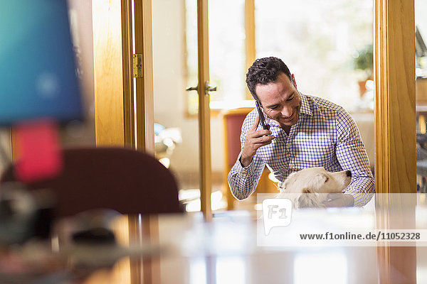 Hispanic businessman talking on telephone in office