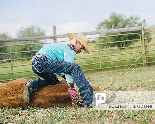 Cowgirl beim Anbinden von Rindern auf einer Ranch